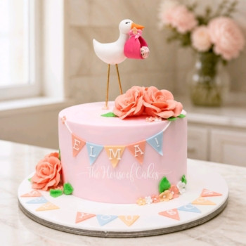 Baby shower cake with stork