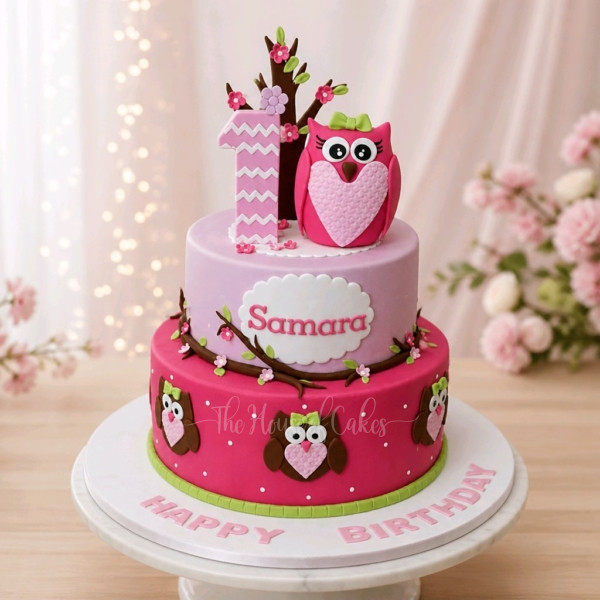 First birthday cake with owl
