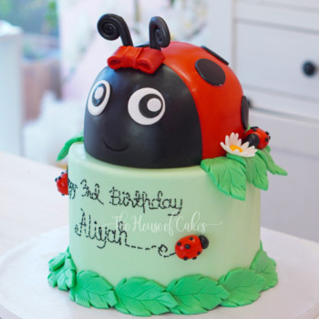 Ladybug_cake_1_DSC05692.jpg