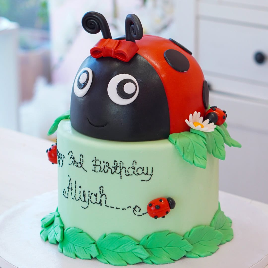 Ladybug Birthday Party Cakes Miraculous And Noir Cake Topper,