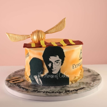 Harry Potter Cake