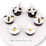 pilot cupcakes