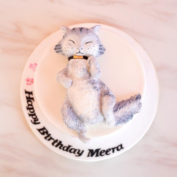 Sleeping Cat Cake in Dubai