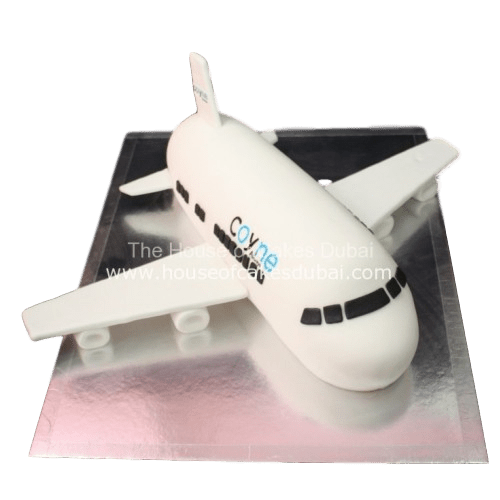 Coyne airplane cake