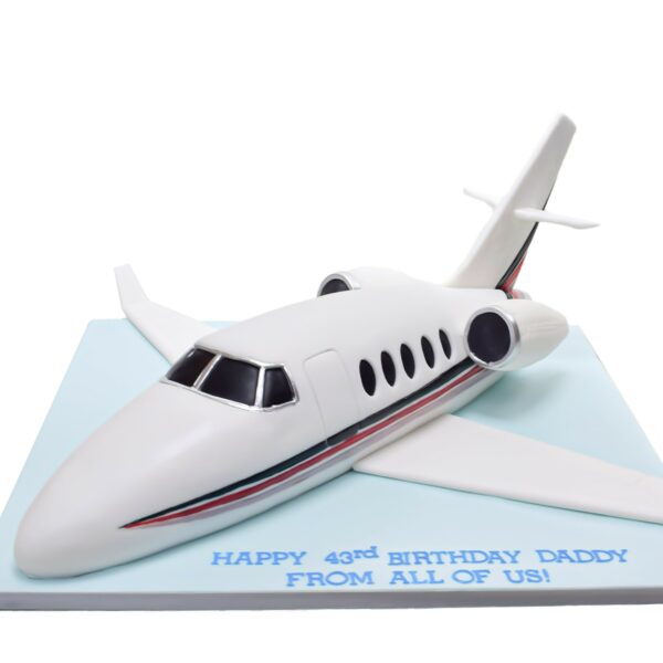 Plane Cake 6