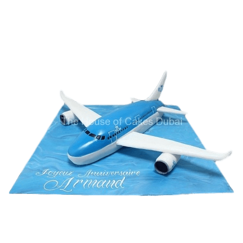 KLM Plane Cake 1