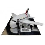 Plane cakes