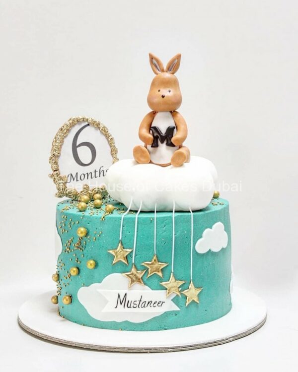 6 months smash cake with cream icing