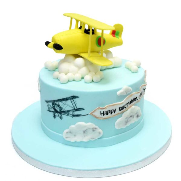 Airplane cake 6
