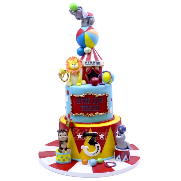 Circus Cake 3
