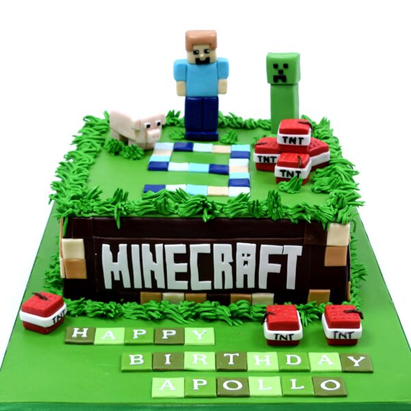 Minecraft cake 7