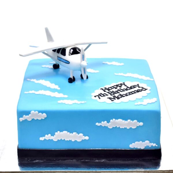 Cake with plane 2