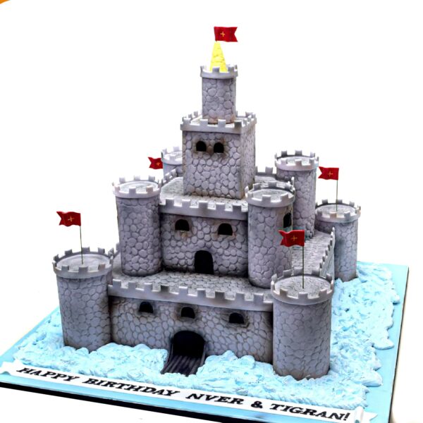 Castle Fort Cake