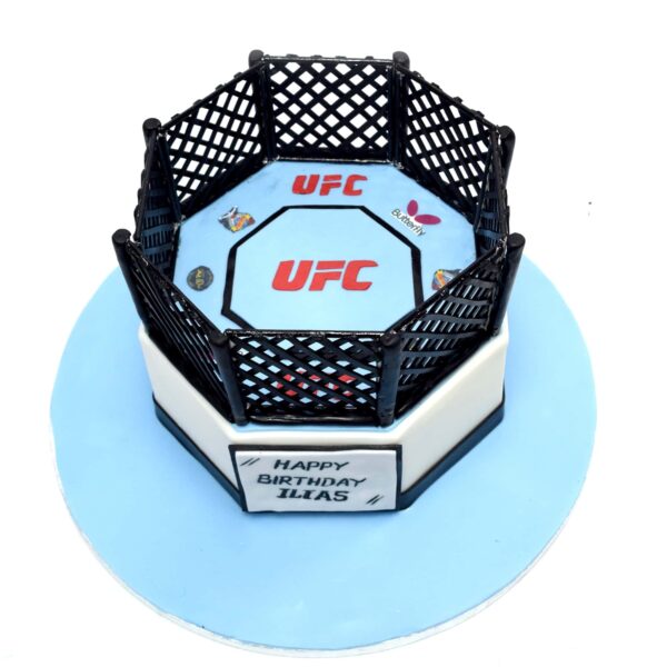 UFC Cake 2