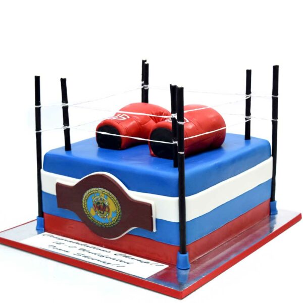 Boxing gloves and ring cake