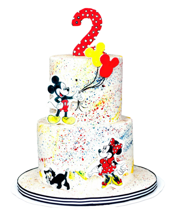 Mickey and Minnie Mouse Cake 10