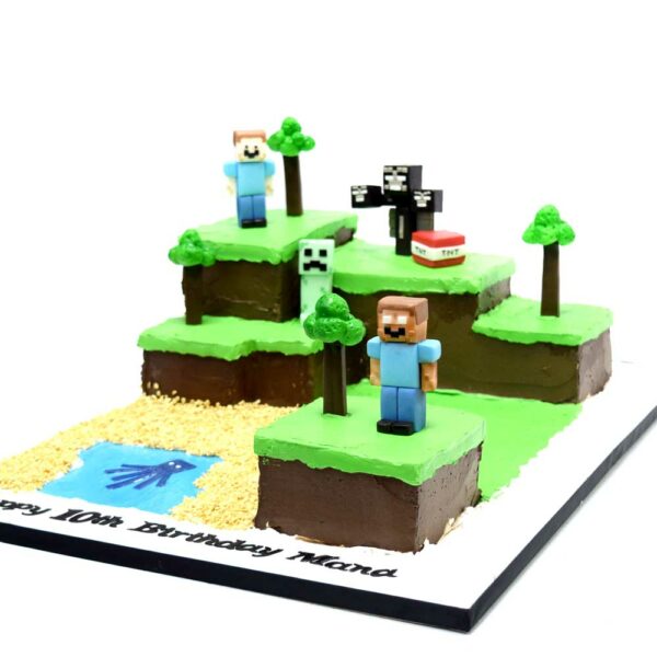 Minecraft cake 20
