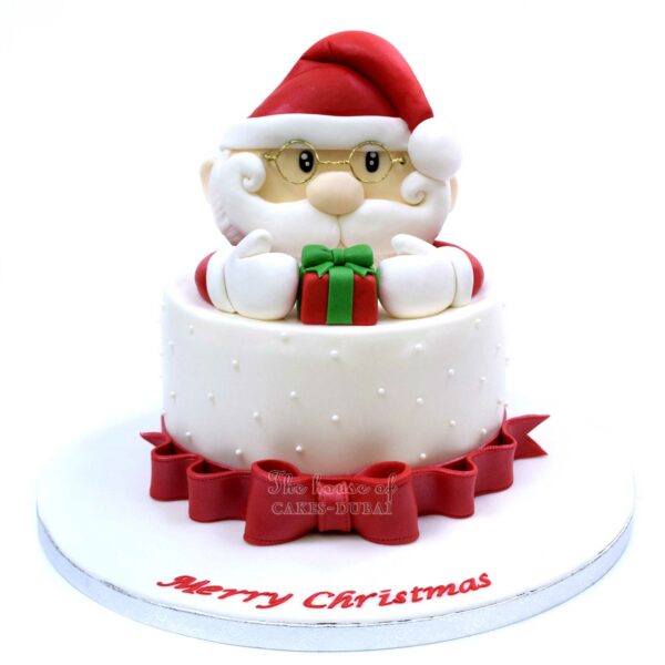 Santa Clause Cake 5