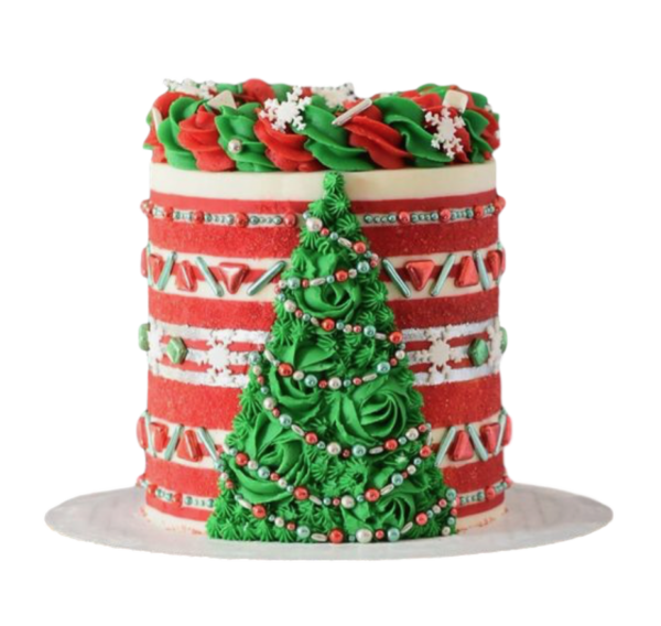 Christmas Cake 5