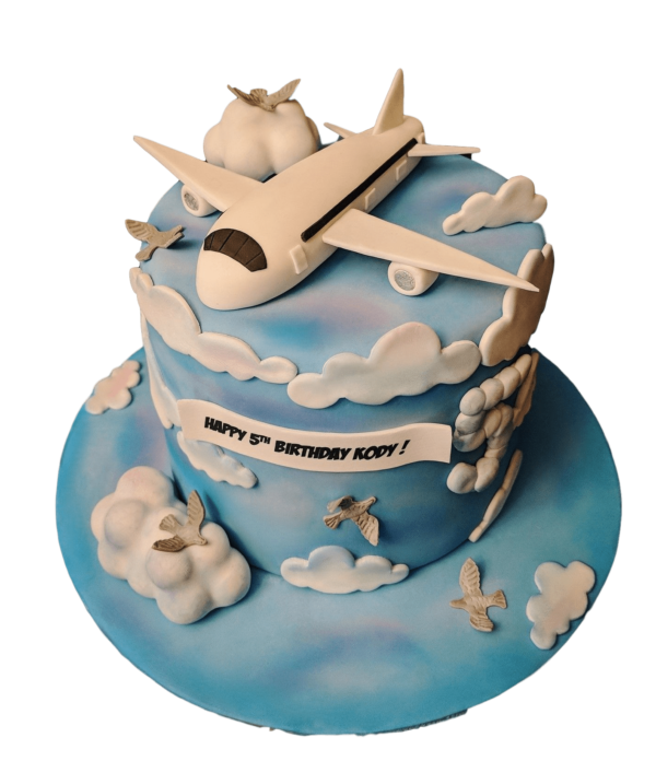 Plane cake 5