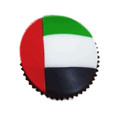 UAE flag cupcakes