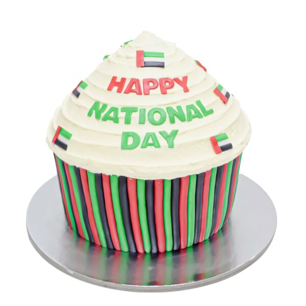 UAE national day cake 12