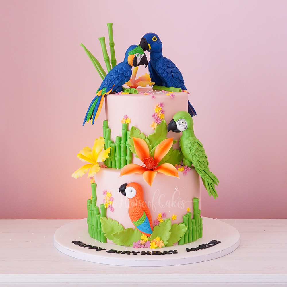 Parrots Cake - The House of Cakes Dubai