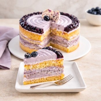 Blueberry Bliss Cake