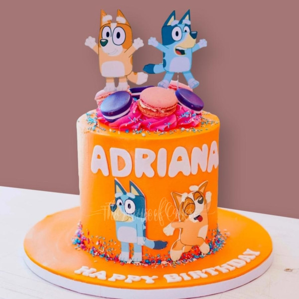 bluey and bingo cake