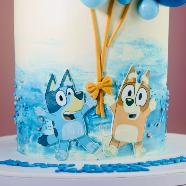 amazing bluey and bingo cake
