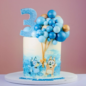 amazing bluey and bingo cake