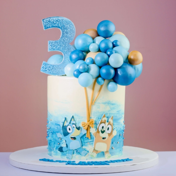amazing bluey and bingo cake