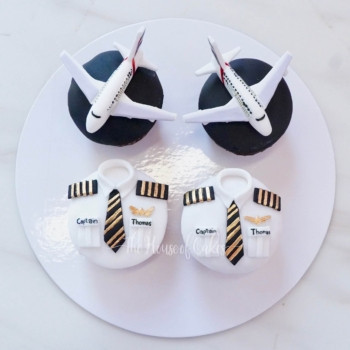set of 4 pilot cupcakes