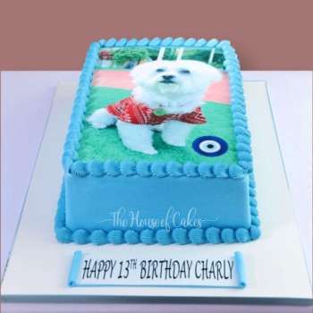 Cake with Dog's Photo in Dubai