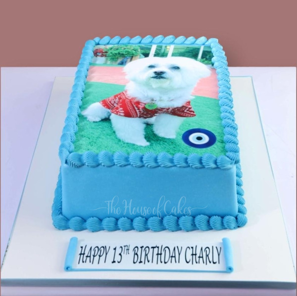 Cake with Dog's Photo in Dubai